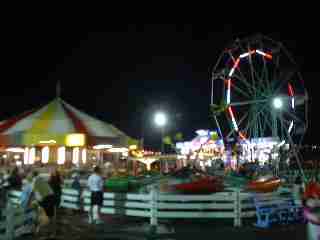 click for larger image