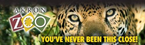 click for larger image