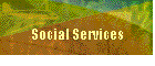 Social Services